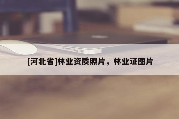 [河北省]林業(yè)資質(zhì)照片，林業(yè)證圖片