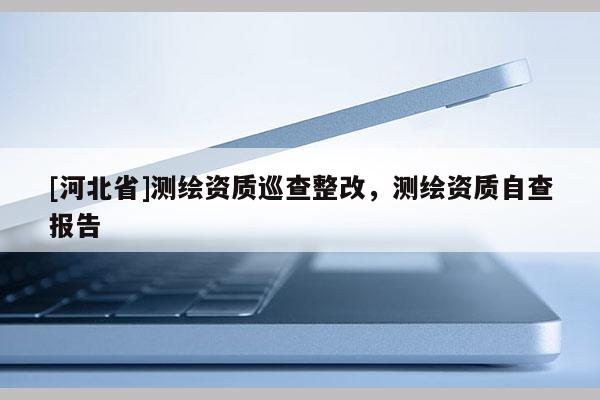 [河北省]測(cè)繪資質(zhì)巡查整改，測(cè)繪資質(zhì)自查報(bào)告