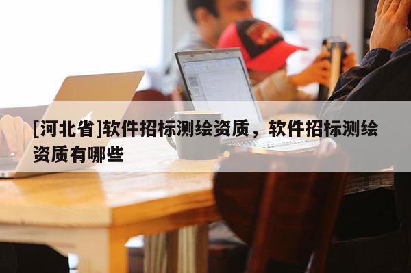 [河北省]軟件招標測繪資質，軟件招標測繪資質有哪些